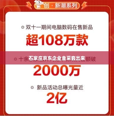 石家庄京东企业金采套出来,石家庄京东企业金采套出来的实践与思考