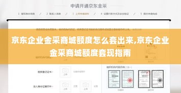 京东企业金采商城额度怎么套出来,京东企业金采商城额度套现指南