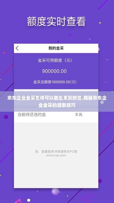 京东企业金采怎样可以套出来到微信,揭秘京东企业金采的提取技巧