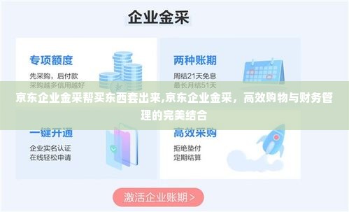京东企业金采帮买东西套出来,京东企业金采，高效购物与财务管理的完美结合