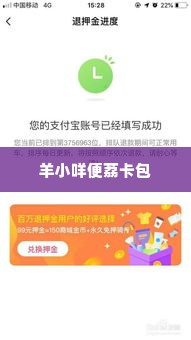 羊小咩便荔卡包提现秒到账,羊小咩便荔卡包提现秒到账，轻松管理你的财务