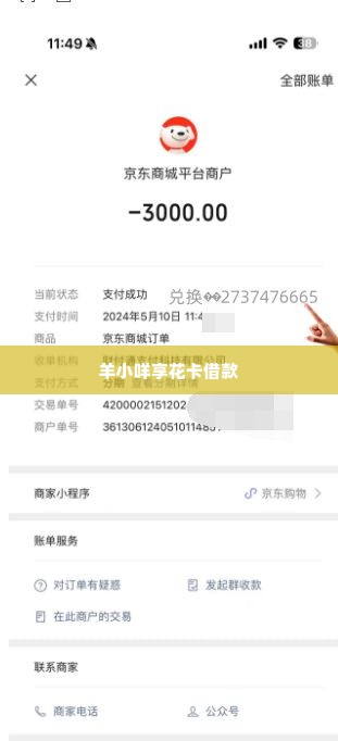 羊小咩享花卡借款怎么套现,羊小咩享花卡借款套现攻略
