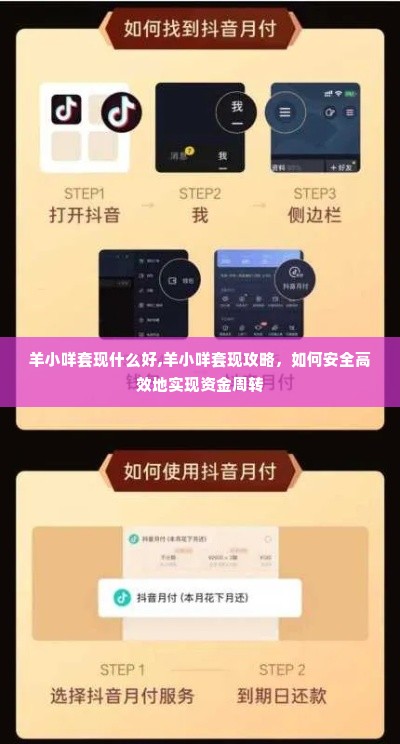 羊小咩套现什么好,羊小咩套现攻略，如何安全高效地实现资金周转