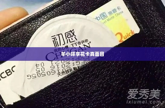 羊小咩享花卡到底能不能套现,羊小咩享花卡的真面目，能否轻松套现？