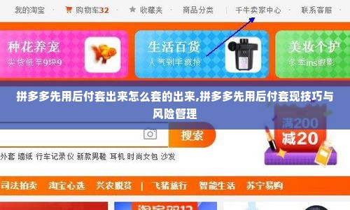 拼多多先用后付套出来怎么套的出来,拼多多先用后付套现技巧与风险管理