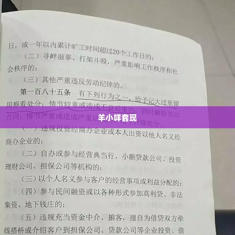 羊小咩怎么套现啊老哥们,羊小咩怎么套现？揭秘网络兼职中的陷阱与机遇