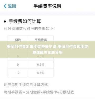 美团月付套出来手续费多少钱,美团月付套现手续费详解与比较分析