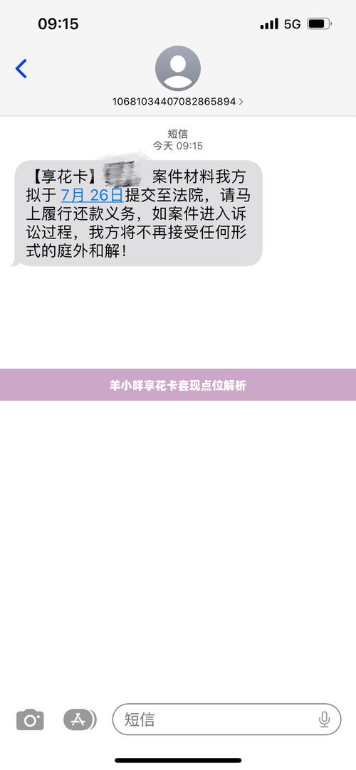 羊小咩享花卡套现多少点位,羊小咩享花卡套现攻略，点位解析与实操指南