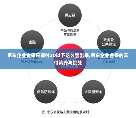 京东企业金采只能付30以下这么套出来,京东企业金采的支付策略与挑战