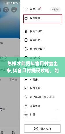 怎样才能把抖音月付套出来,抖音月付提现攻略，如何安全高效地将抖音月付额度套现