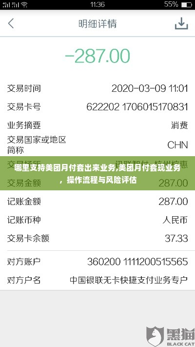 哪里支持美团月付套出来业务,美团月付套现业务，操作流程与风险评估