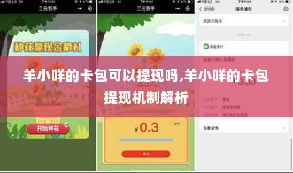羊小咩的卡包可以提现吗,羊小咩的卡包提现机制解析