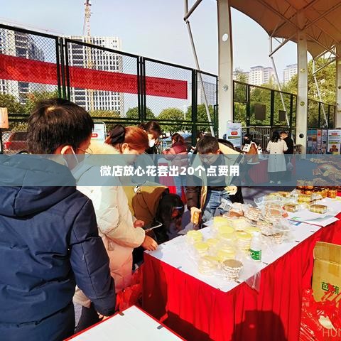 微店放心花套出来20个点是多少钱,微店放心花套出来的20个点是多少钱？