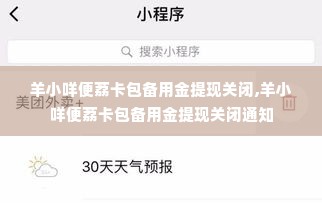 羊小咩便荔卡包备用金提现关闭,羊小咩便荔卡包备用金提现关闭通知