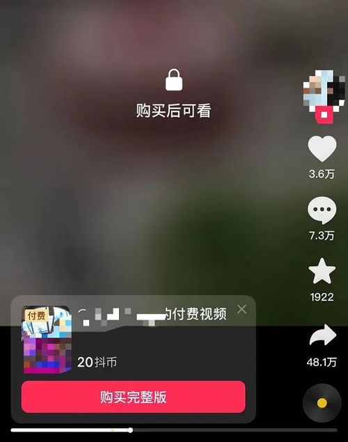 抖音月付套出来费用,抖音月付套出来费用，解密短视频平台的支付机制与用户体验