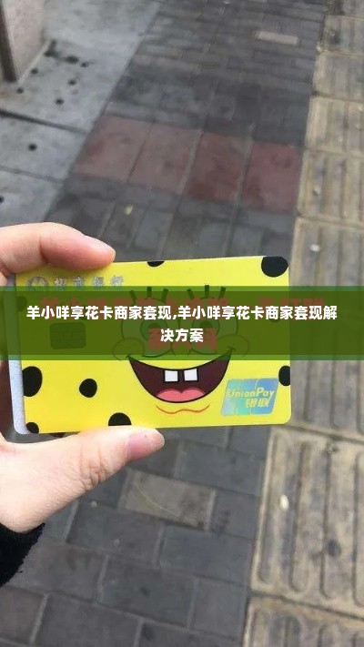 羊小咩享花卡商家套现,羊小咩享花卡商家套现解决方案