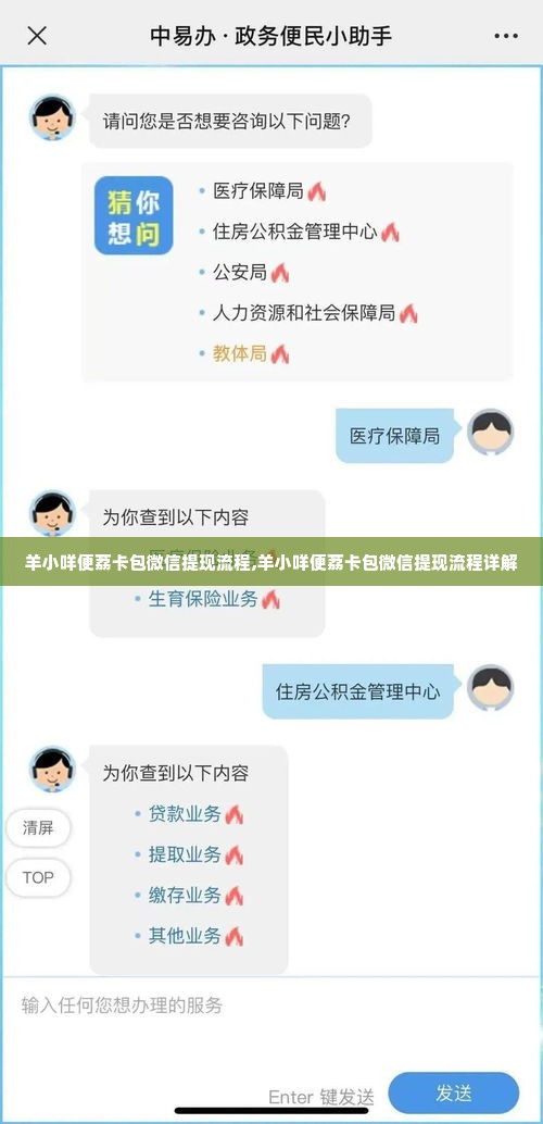 羊小咩便荔卡包微信提现流程,羊小咩便荔卡包微信提现流程详解