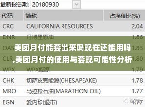 美团月付能套出来吗现在还能用吗,美团月付的使用与套现可能性分析