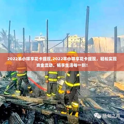 2022羊小咩享花卡提现,2022羊小咩享花卡提现，轻松实现资金流动，畅享生活每一刻！