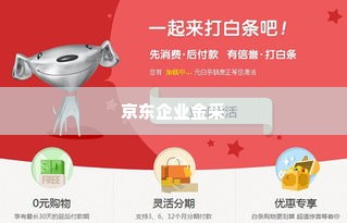 京东企业金采套出来秒到账吗安全吗,京东企业金采套现服务的安全性探讨