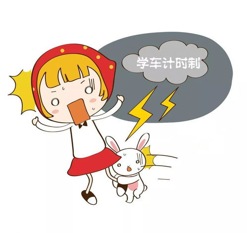羊小咩商场套现,羊小咩商场的套现策略与分析