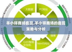 羊小咩商场套现,羊小咩商场的套现策略与分析