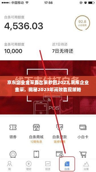 京东企业金采套出来秒回2023,京东企业金采，揭秘2023年高效套现策略