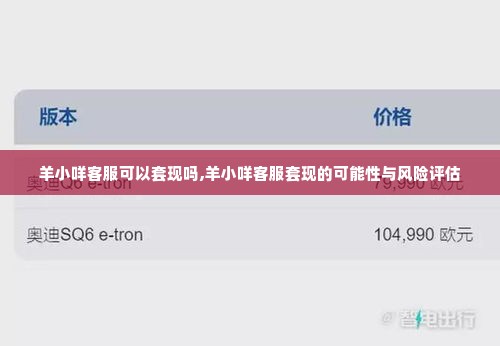 羊小咩客服可以套现吗,羊小咩客服套现的可能性与风险评估