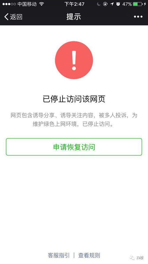 微信分付套出来吗是真的吗安全吗,微信分付套现的安全性与可行性探讨