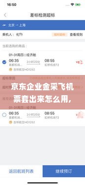 京东企业金采飞机票套出来怎么用,京东企业金采机票套现流程与应用