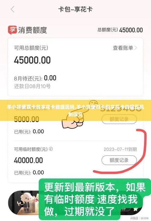 羊小咩便荔卡包享花卡能提现吗,羊小咩便荔卡包享花卡的提现机制探究