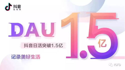 潍坊市抖音月付套出来公司,潍坊市抖音月付套现服务，创新金融与数字营销的完美结合