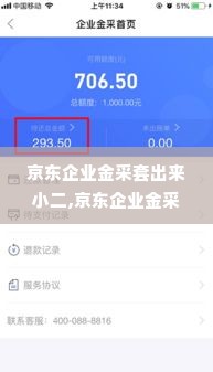 京东企业金采套出来小二,京东企业金采套出来小二，打造高效、智能的采购管理解决方案