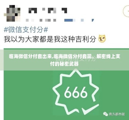 临海微信分付套出来,临海微信分付套现，解密线上支付的秘密武器