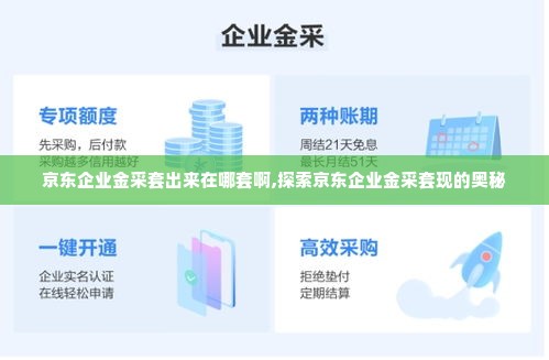 京东企业金采套出来在哪套啊,探索京东企业金采套现的奥秘