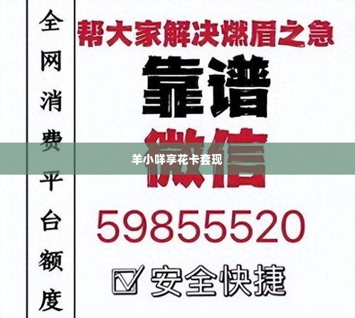 正规羊小咩享花卡套现,正规羊小咩享花卡套现——安全、便捷、合规的理财新选择