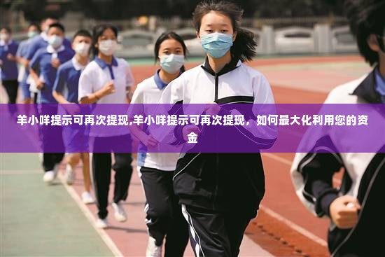 羊小咩提示可再次提现,羊小咩提示可再次提现，如何最大化利用您的资金