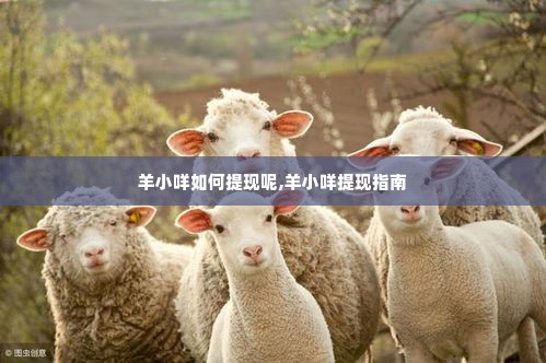 羊小咩如何提现呢,羊小咩提现指南