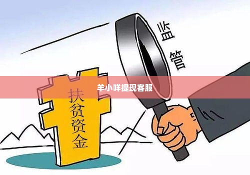 羊小咩提现客服,羊小咩提现客服，用户资金安全与服务体验的桥梁