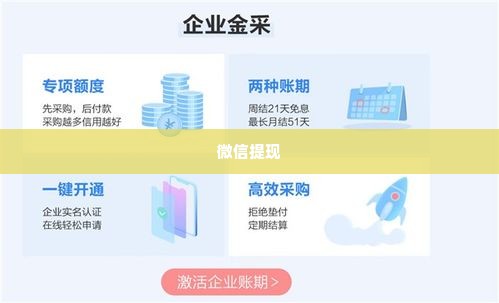 京东企业金采套出来怎么弄到微信里面去,京东企业金采套现至微信的实用攻略