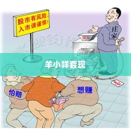 羊小咩最简单的套现,羊小咩的财富之旅，揭秘最简单的套现方式