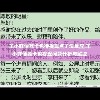 羊小咩便荔卡包待提现点了没反应,羊小咩便荔卡包提现问题分析与解决