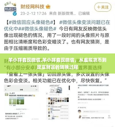 羊小咩套现微信,羊小咩套现微信，从虚拟货币到现实财富的转换过程