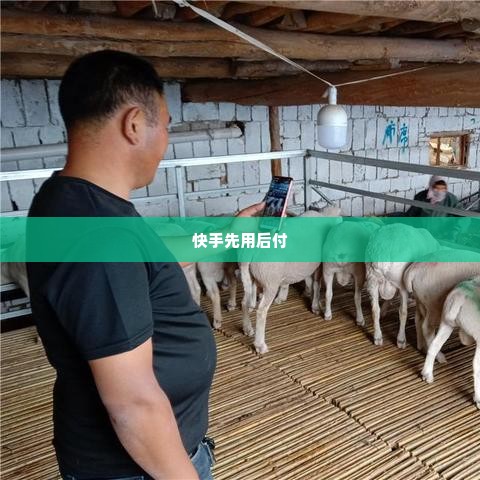 快手先用后付的套出来方法是什么,快手先用后付的套出来方法