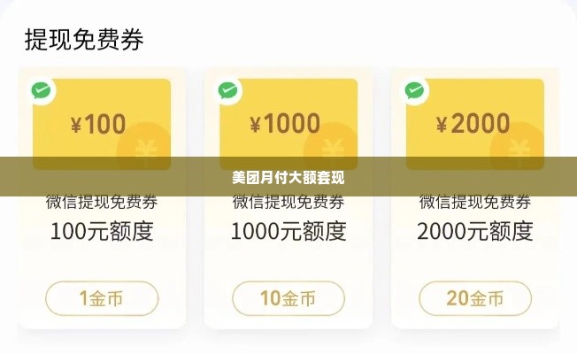 美团月付大额套出来商家,探索美团月付的大额套现艺术