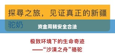 怎么样美团月付套出来,揭秘美团月付套现的真相，如何安全合法地实现资金周转
