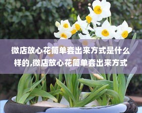 微店放心花简单套出来方式是什么样的,微店放心花简单套出来方式详解