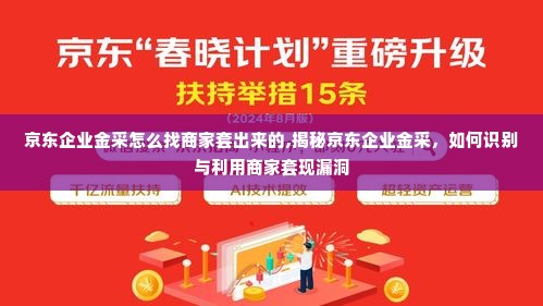 京东企业金采怎么找商家套出来的,揭秘京东企业金采，如何识别与利用商家套现漏洞