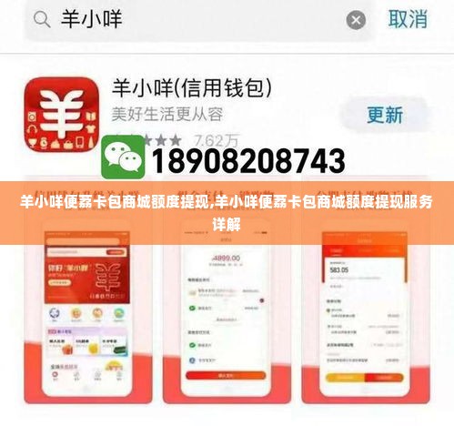 羊小咩便荔卡包商城额度提现,羊小咩便荔卡包商城额度提现服务详解