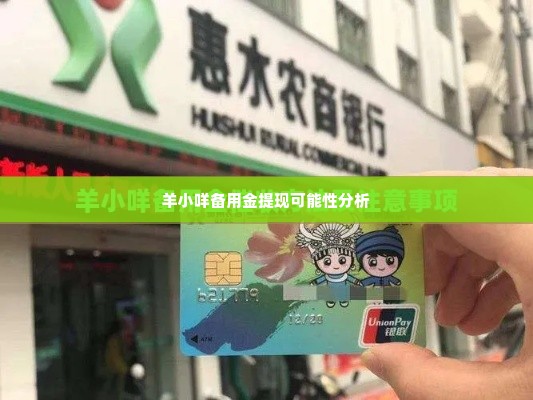 羊小咩备用金可以提现吗,羊小咩备用金的提现可能性分析